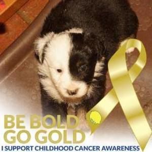 Meet your Posher, Janice